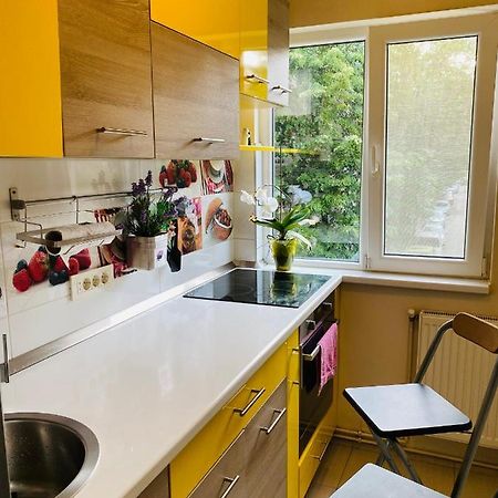 City Center Apartment Тімішоара Екстер'єр фото