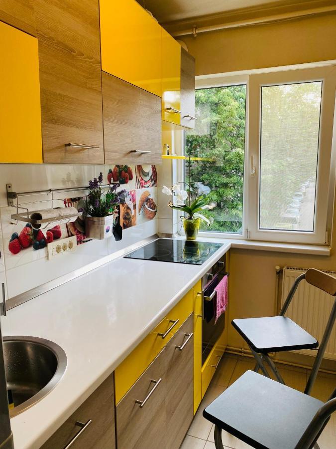 City Center Apartment Тімішоара Екстер'єр фото