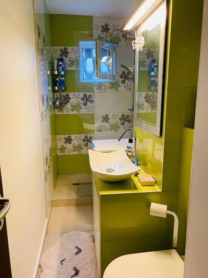 City Center Apartment Тімішоара Екстер'єр фото