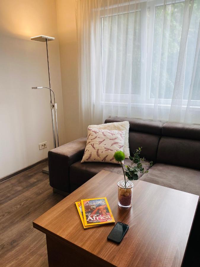 City Center Apartment Тімішоара Екстер'єр фото